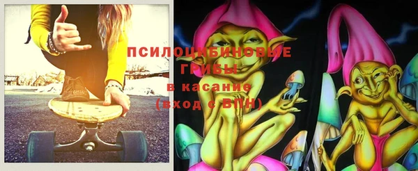 крисы Алексин