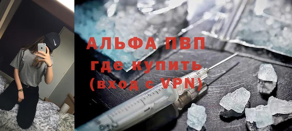 крисы Алексин