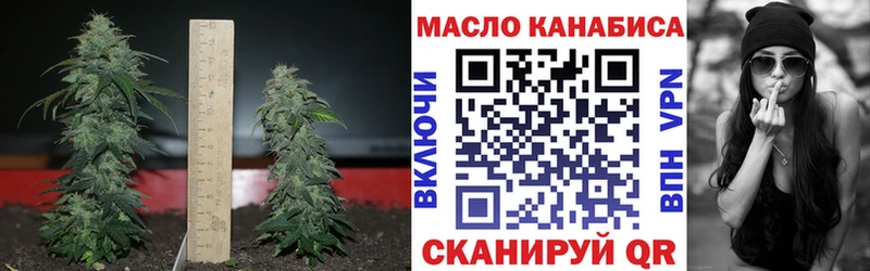 дарнет шоп  Вихоревка  ТГК жижа 