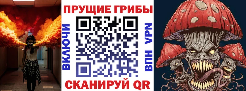Галлюциногенные грибы GOLDEN TEACHER  Вихоревка 